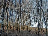 Sul Canto Alto con i colori del tramonto e con un incontro inaspettato l'8 marzo 09 - FOTOGALLERY
